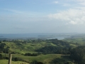 nz-DSC08503