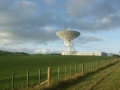 nz-DSC08516