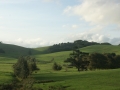nz-DSC08517