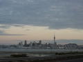 nz-DSC08525
