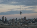 nz-DSC08533