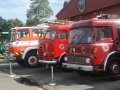 nz-DSC08395