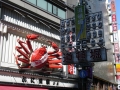 jap-DSC03879
