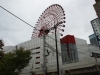 DSC08907.jpg