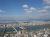 DSC09087.jpg