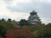 DSC09116.jpg