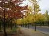 DSC09120.jpg