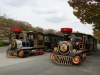 DSC09131.jpg
