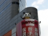 DSC09163.jpg