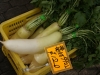 DSC09174.jpg