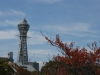 DSC09184.jpg