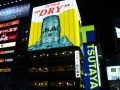 jap-DSC03914