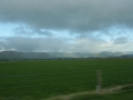 nz-DSC08775