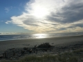 nz-DSC08777