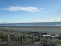 nz-DSC08778