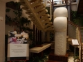 QMII-DSC08146