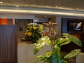 QMII-DSC08147