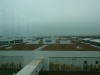 dsc01705.jpg