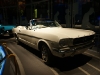 dsc01715.jpg