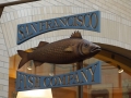 DSC05065