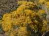 dsc02239