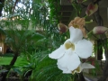 hw-DSC00848