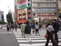 thumb_DSC00065_1024