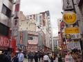 thumb_DSC00080_1024