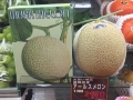 day1-thumb_IMG_5525_1024