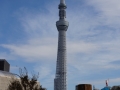 thumb_DSC09890_1024