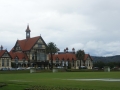 nz-DSC08617