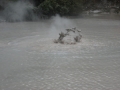 nz-DSC08641