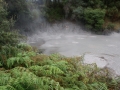 nz-DSC08643