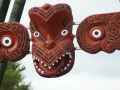 nz-DSC08670