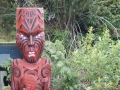 nz-DSC08674
