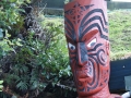 nz-DSC08676