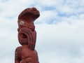 nz-DSC08678