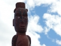 nz-DSC08679