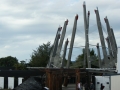 nz-DSC08680