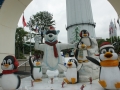 kl-DSC06413