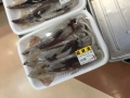 thumb_IMG_6013_1024