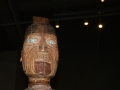 nz-DSC08864