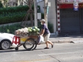 2020bangkok-SON02308