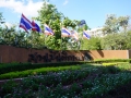 2020bangkok-SON02310