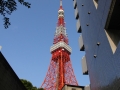jap-DSC03811