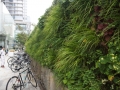 thumb_DSC09853_1024