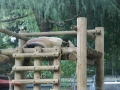 DSC08130