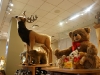 toy5.jpg