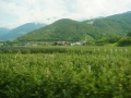 19road-SON01327