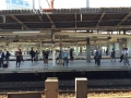thumb_IMG_6053_1024